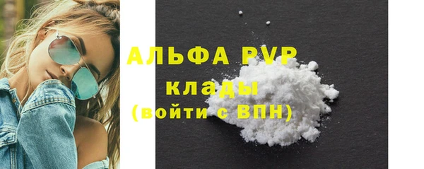 стаф Алексин