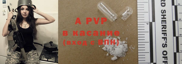 стаф Алексин