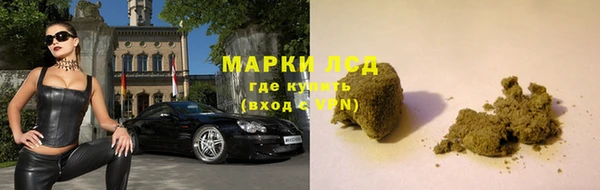 стаф Алексин