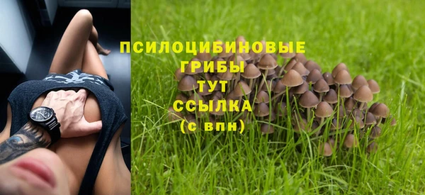 стаф Алексин