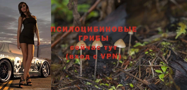 стаф Алексин